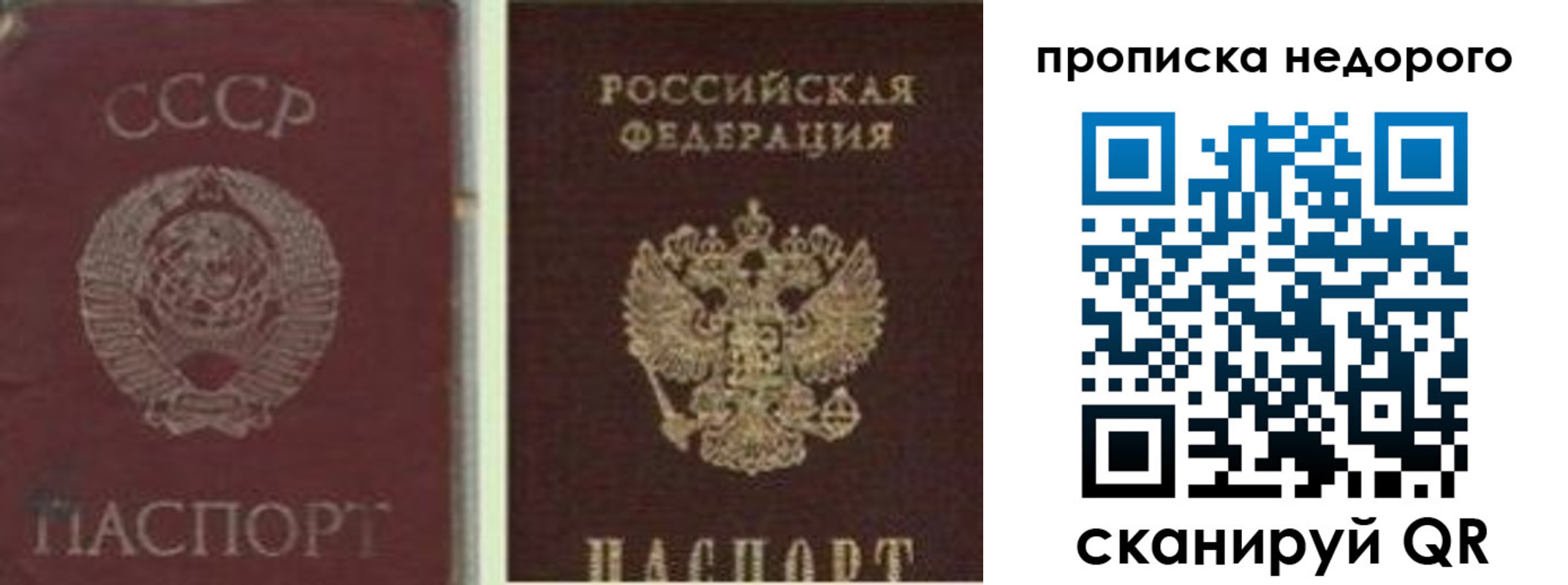 временная регистрация поиск в Шатуре